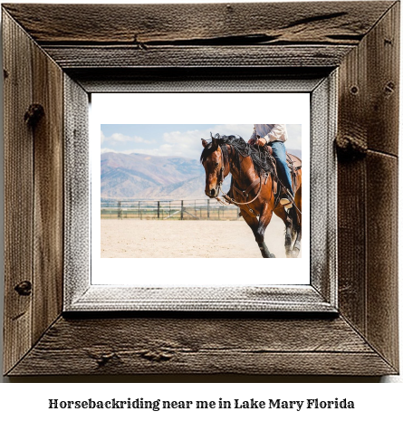 horseback riding near me in Lake Mary, Florida